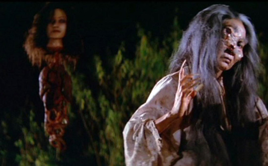 Bleeding Skull 50: The Best Trash-Horror Films of the 1980s â€“ Bleeding Skull