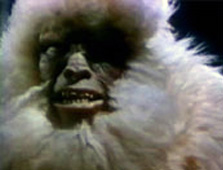 Featured_CaptureBigfoot