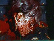 Featured_CarnivalBlood