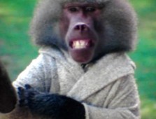 Featured_OrderOfTheBlackEagle
