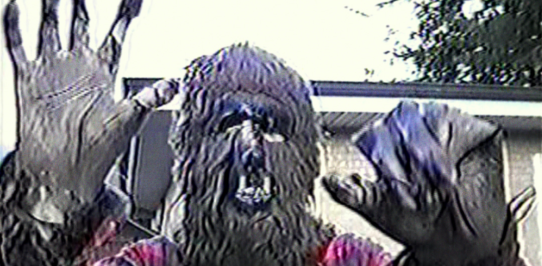 Still from Miss Werewolf